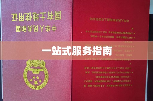 锦州一站式服务指南