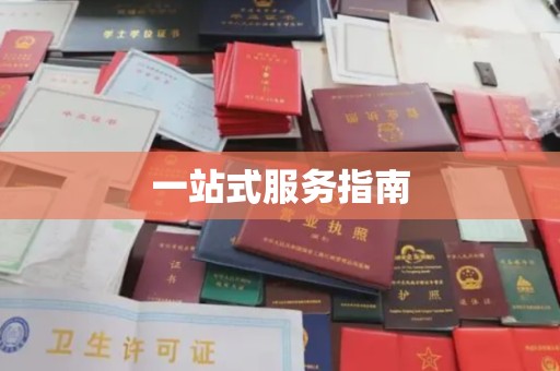 锦州一站式服务指南