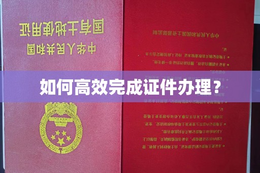 锦州如何高效完成证件办理？