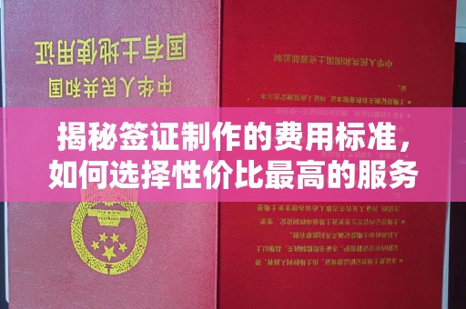 锦州揭秘签证制作的费用标准，如何选择性价比最高的服务？