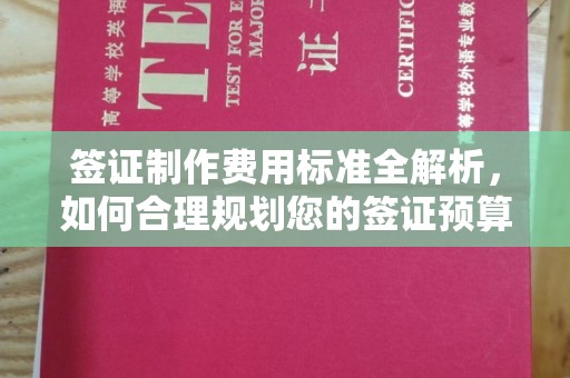 锦州签证制作费用标准全解析，如何合理规划您的签证预算？